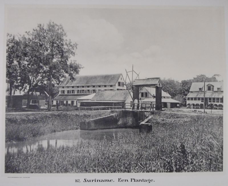 KLEYNENBERG & Co. - Suriname. Een plantage.