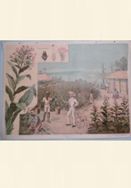 Catalogue 260 - Landscapes