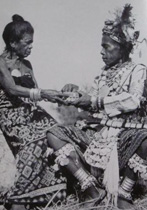 Catalogue 262 - Indonesia