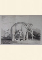Catalogue 268 - Travel