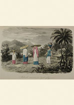 Catalogue 207 - Dutch East Indies II